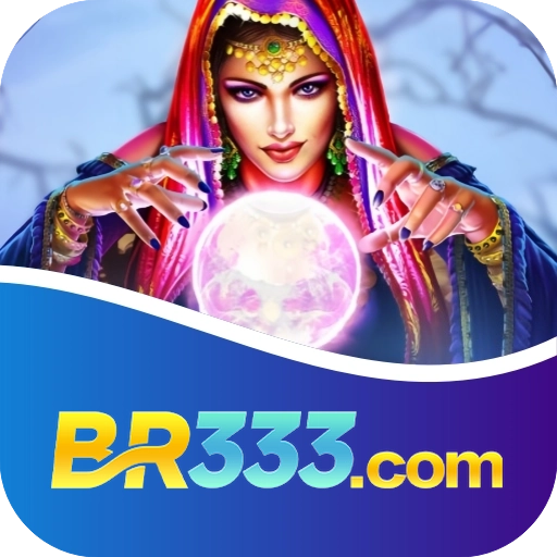 br333 logo