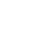 br333 icon