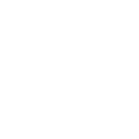 br333 icon
