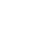 br333 icon